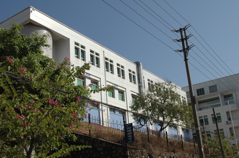 �����߲�����